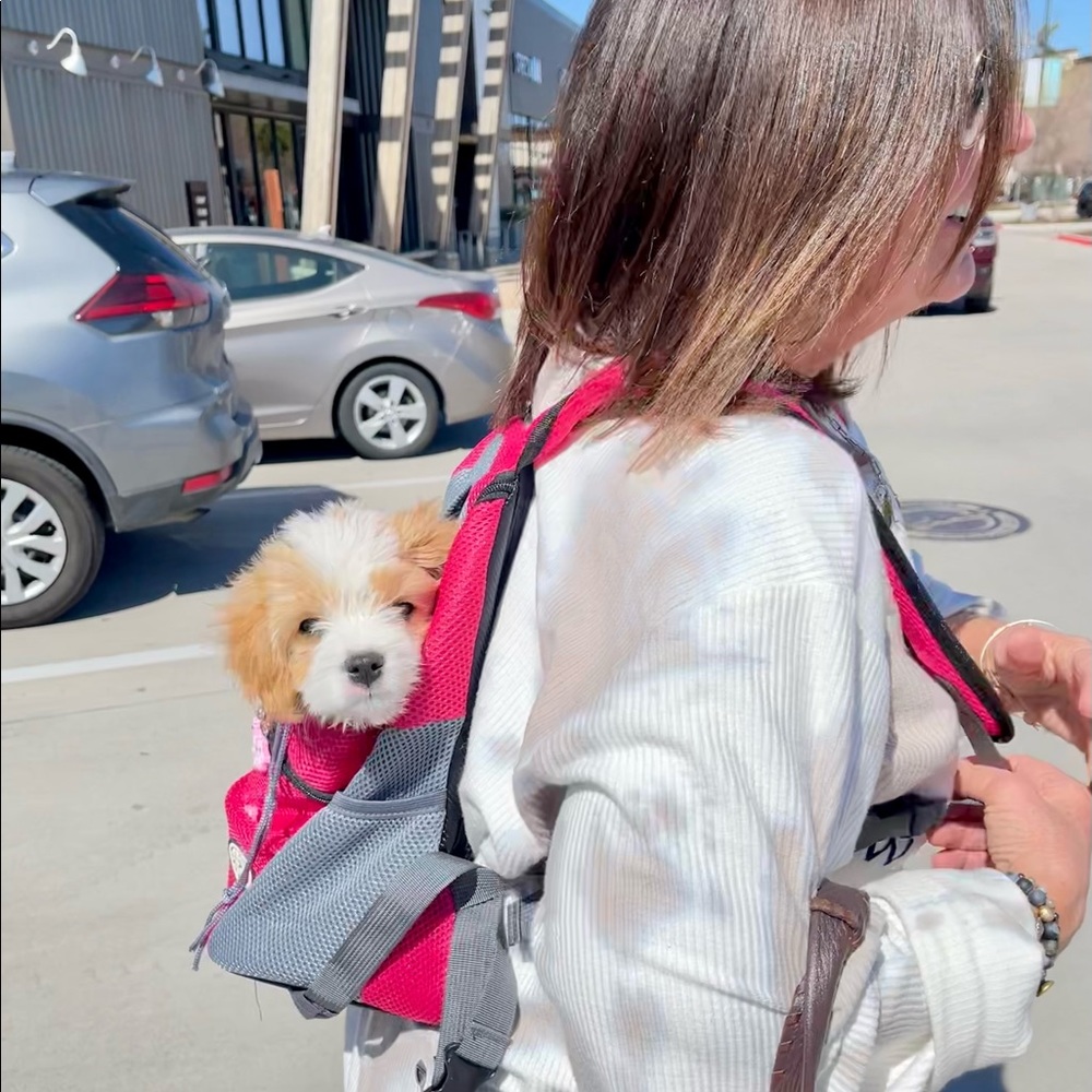 Dog Backpack Pink 12x13
Website says fits 0 to 10 lbs. See attached picture
